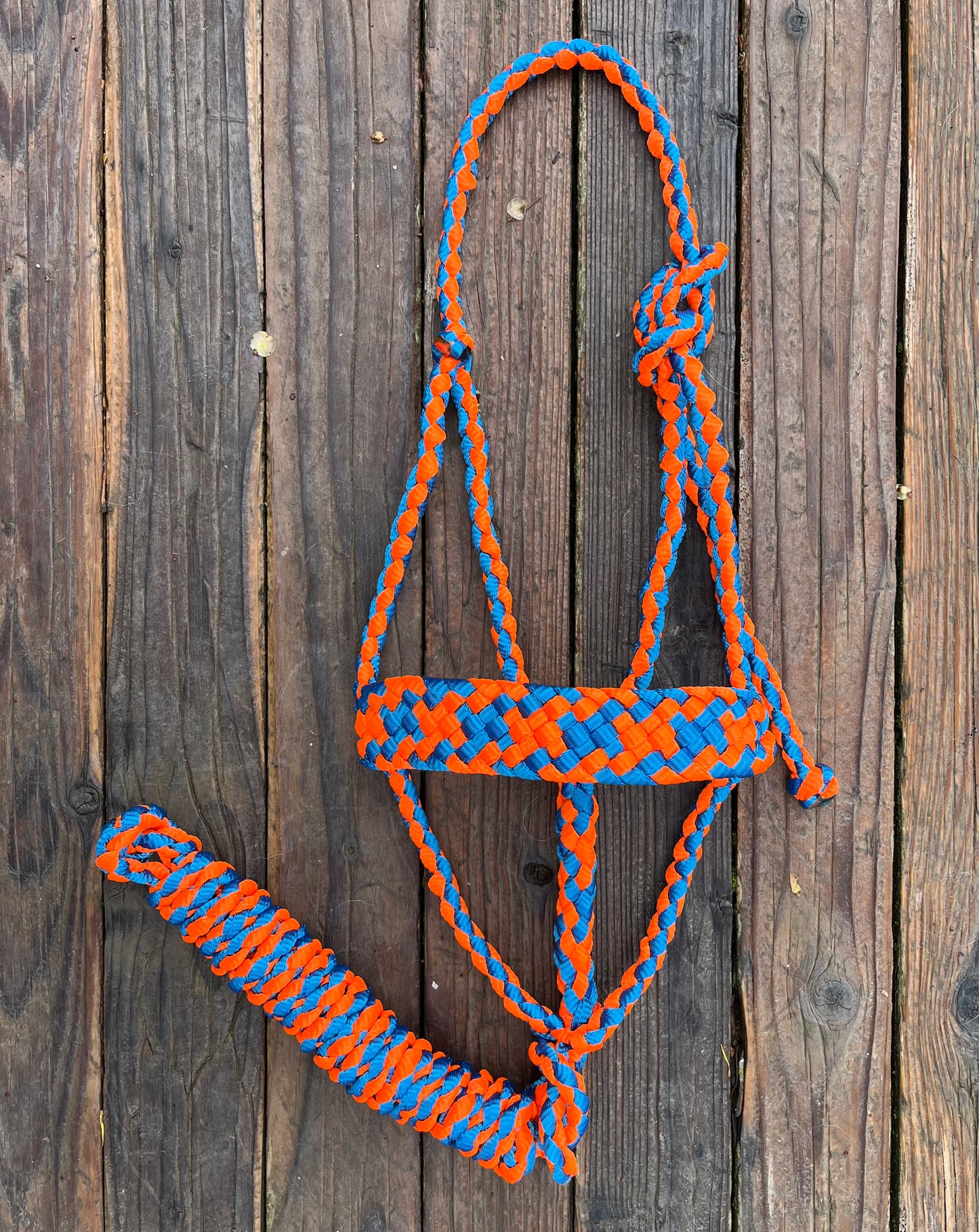 Royal Blue & Neon Orange Mule Tape Horse Halter