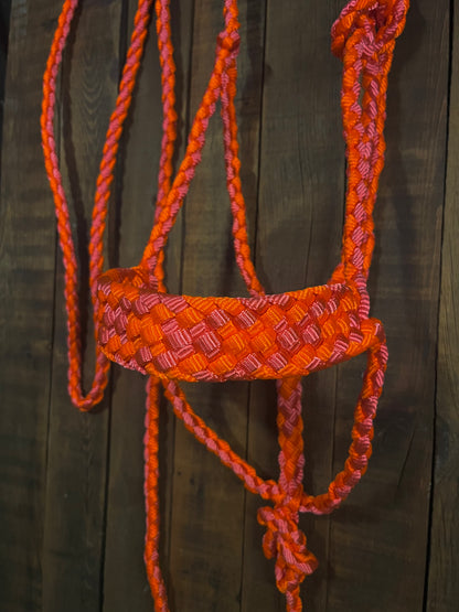 Neon Pink & Neon Orange Mule Tape Horse Halter