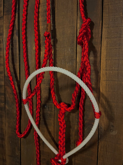 Red Mule Tape Horse Halter with White Lariat Nose Band