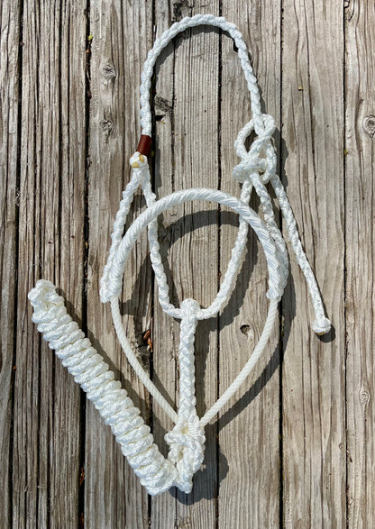 White Mule Tape Horse Halter with Lariat Nose Band