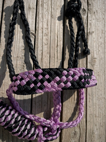 Black & Lavender Mule Tape Halter