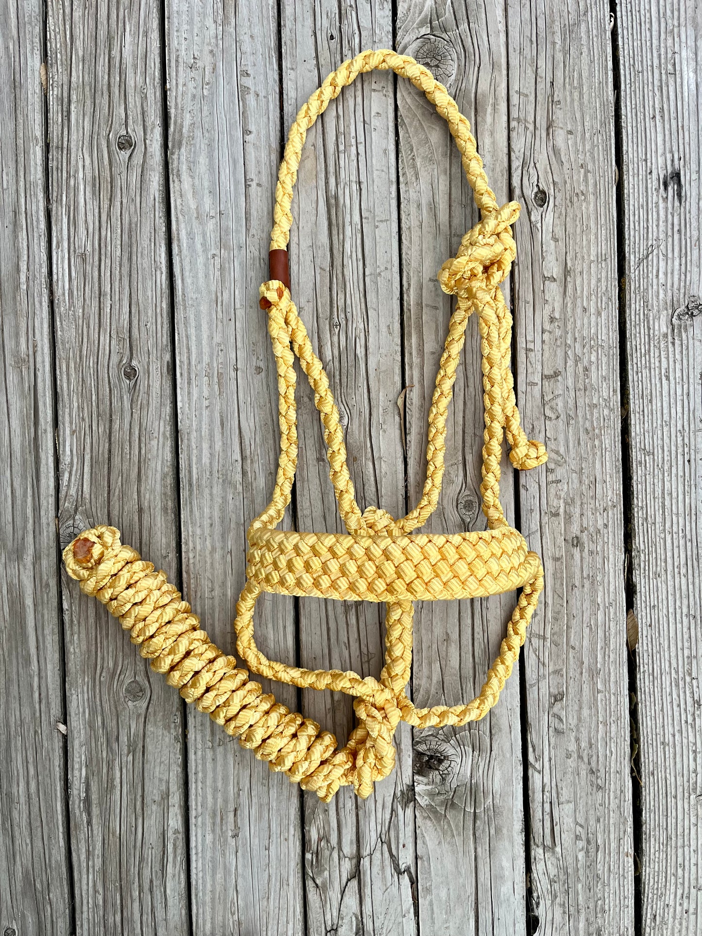 Yellow Mule Tape Halter