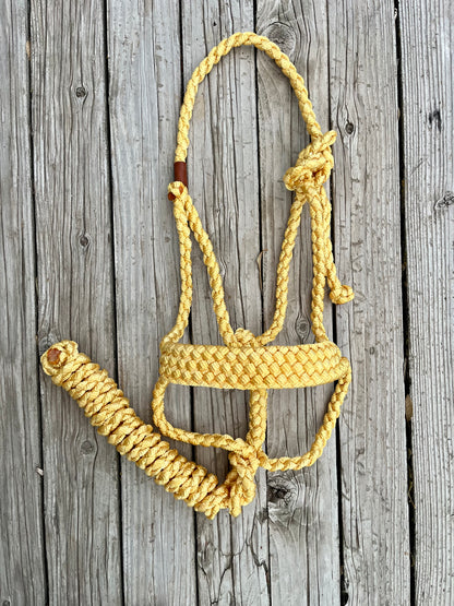 Yellow Mule Tape Halter