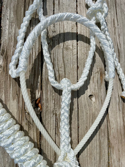 White Mule Tape Horse Halter with Lariat Nose Band