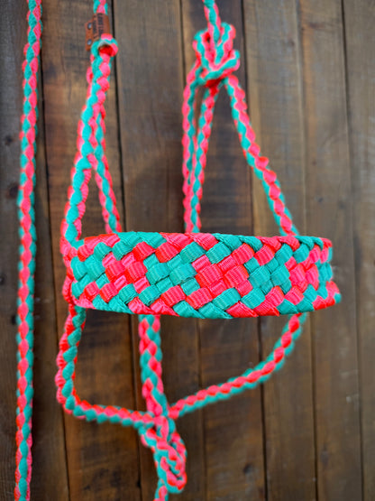 Turquoise and Neon Pink Mule Tape Horse Halter