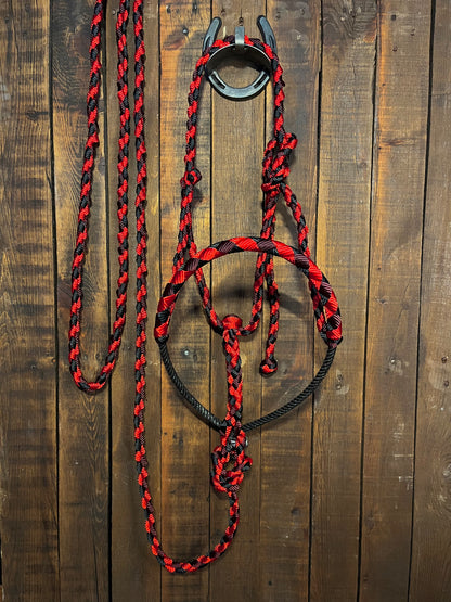 Burgundy, Red & Black Lariat Horse Halter