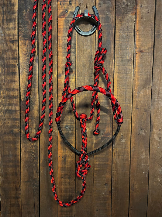 Burgundy, Red & Black Lariat Horse Halter