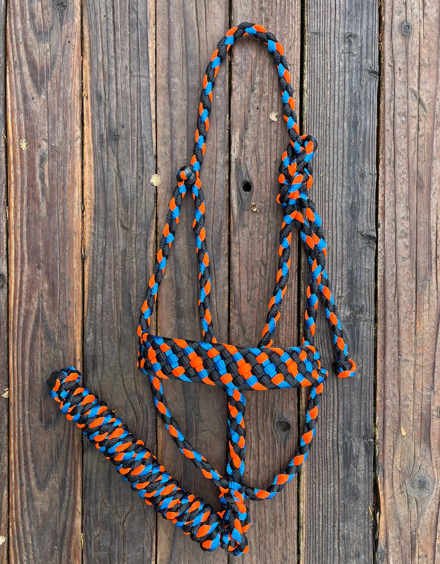 Black, Royal Blue & Neon Orange Mule Tape Horse Halter