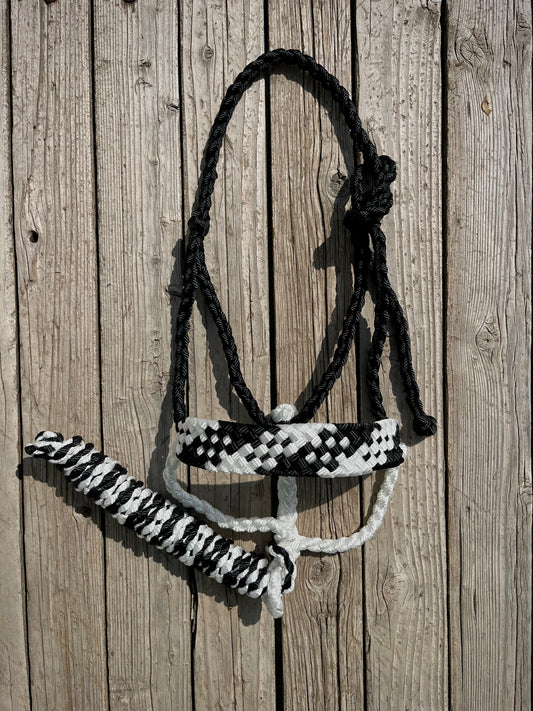 Black & White Mule Tape Halter
