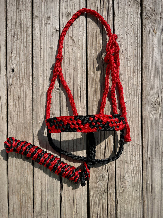 Red & Black Mule Tape Halter