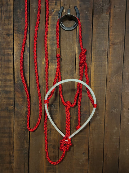 Red Mule Tape Horse Halter with White Lariat Nose Band