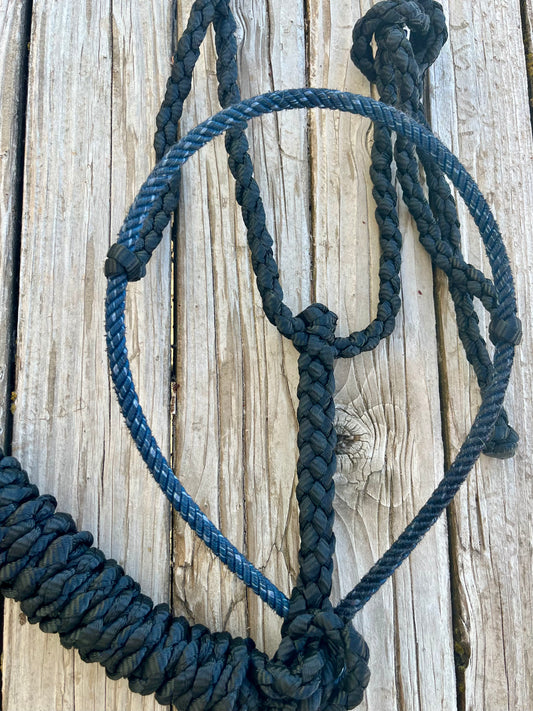 Black Mule Tape Horse Halter with Navy Lariat Nose Band