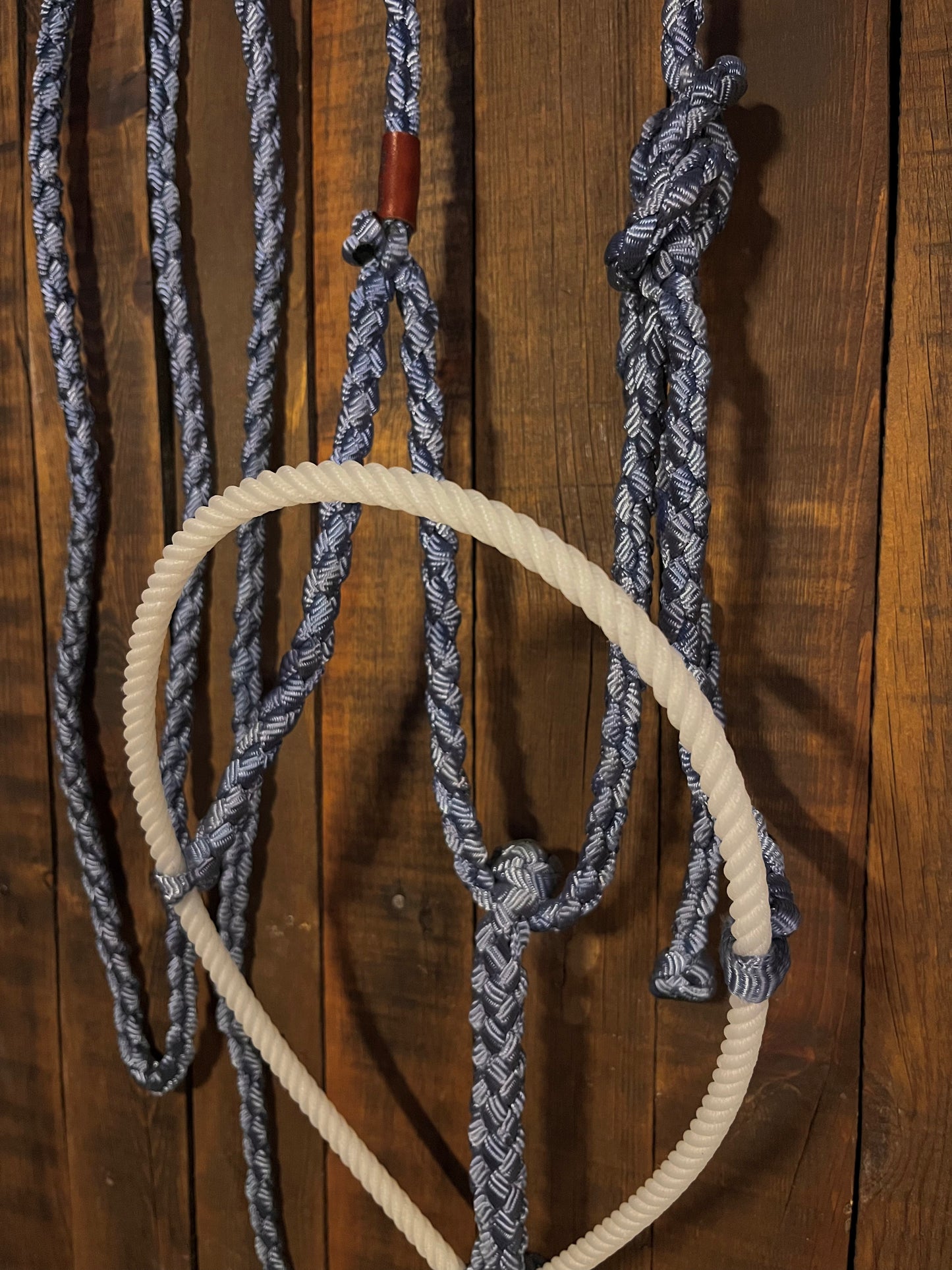 Denim Blue Mule Tape Horse Halter with White Lariat Nose Band