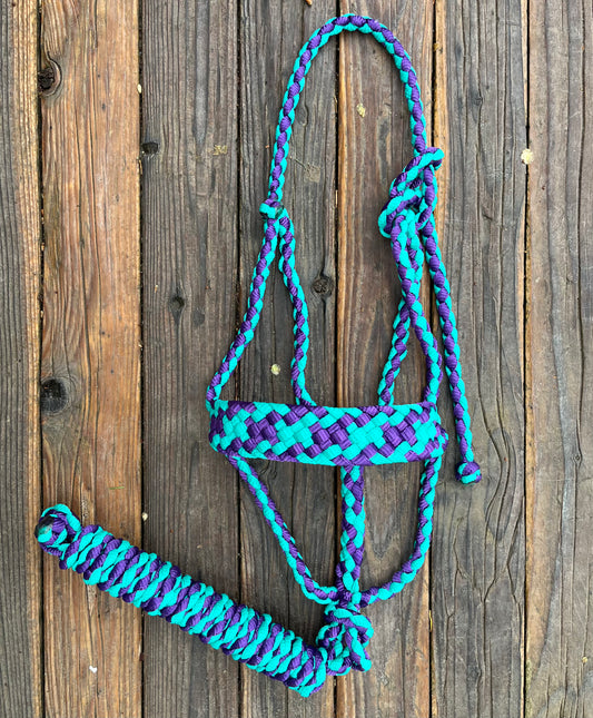 Purple & Turquoise Mule Tape Horse Halter