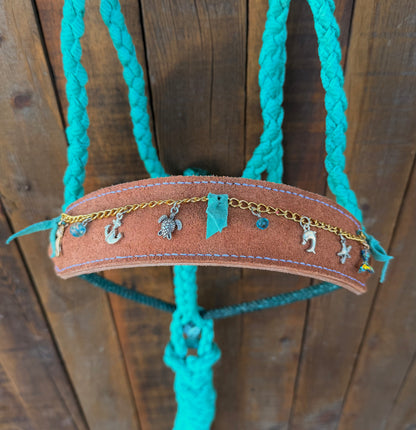 Coastal Charms Horse Halter | Mule Tape Halter with Lariat Nose Band