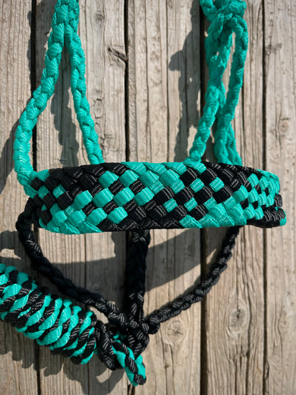 Turquoise & Black Mule Tape Halter