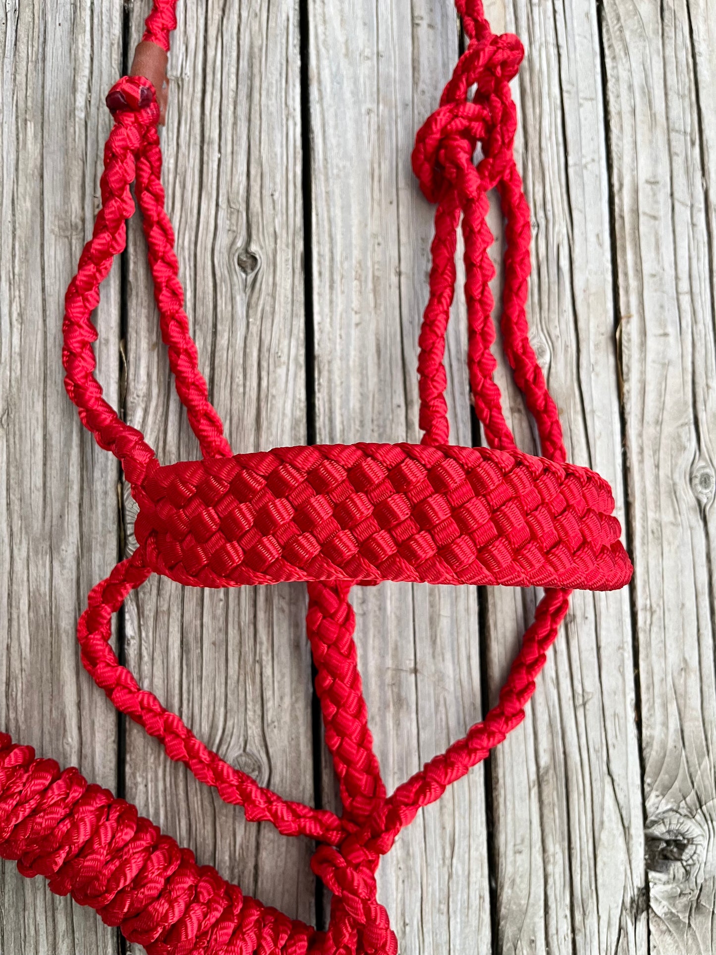 Red Mule Tape Halter