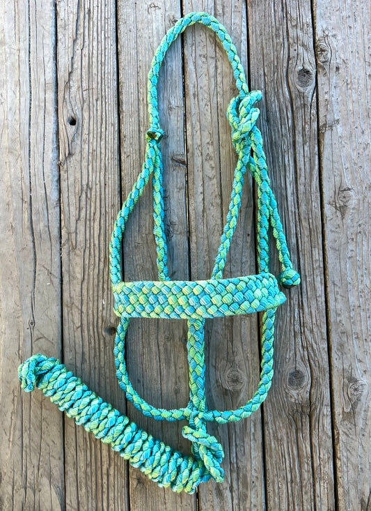 Limited Edition Light Green & Gift Box Blue Mule Tape Horse Halter