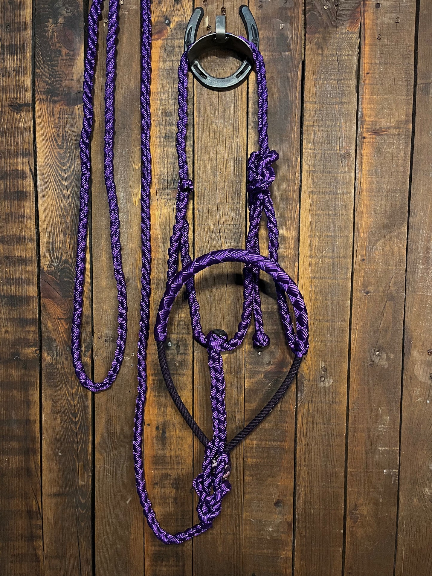 Purple Lariat Horse Halter