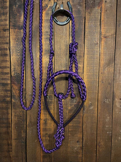 Purple Lariat Horse Halter