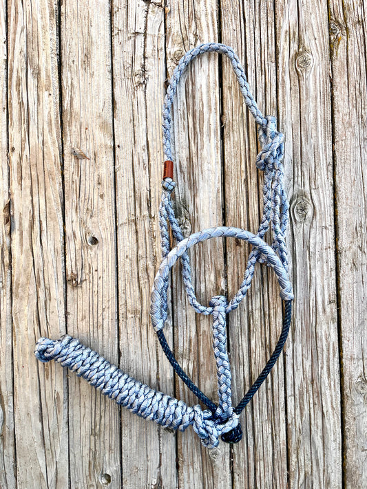 Denim Blue Mule Tape Halter with Navy Lariat Nose Band