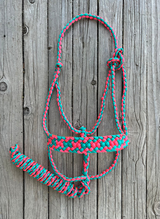 Custom Warm Blood & Draft Size Mule Tape Halter