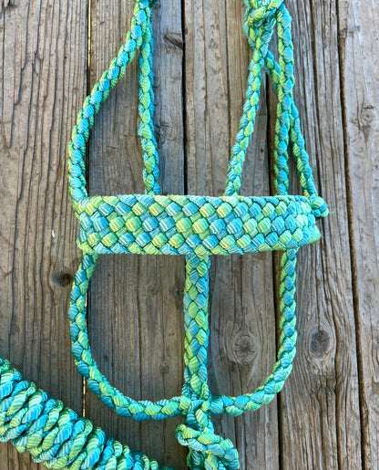 Limited Edition Light Green & Gift Box Blue Mule Tape Horse Halter