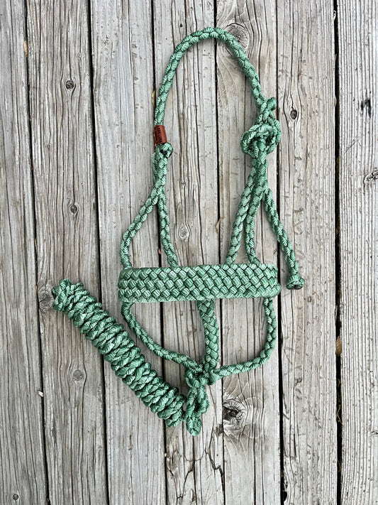 Forest Green Mule Tape Halter
