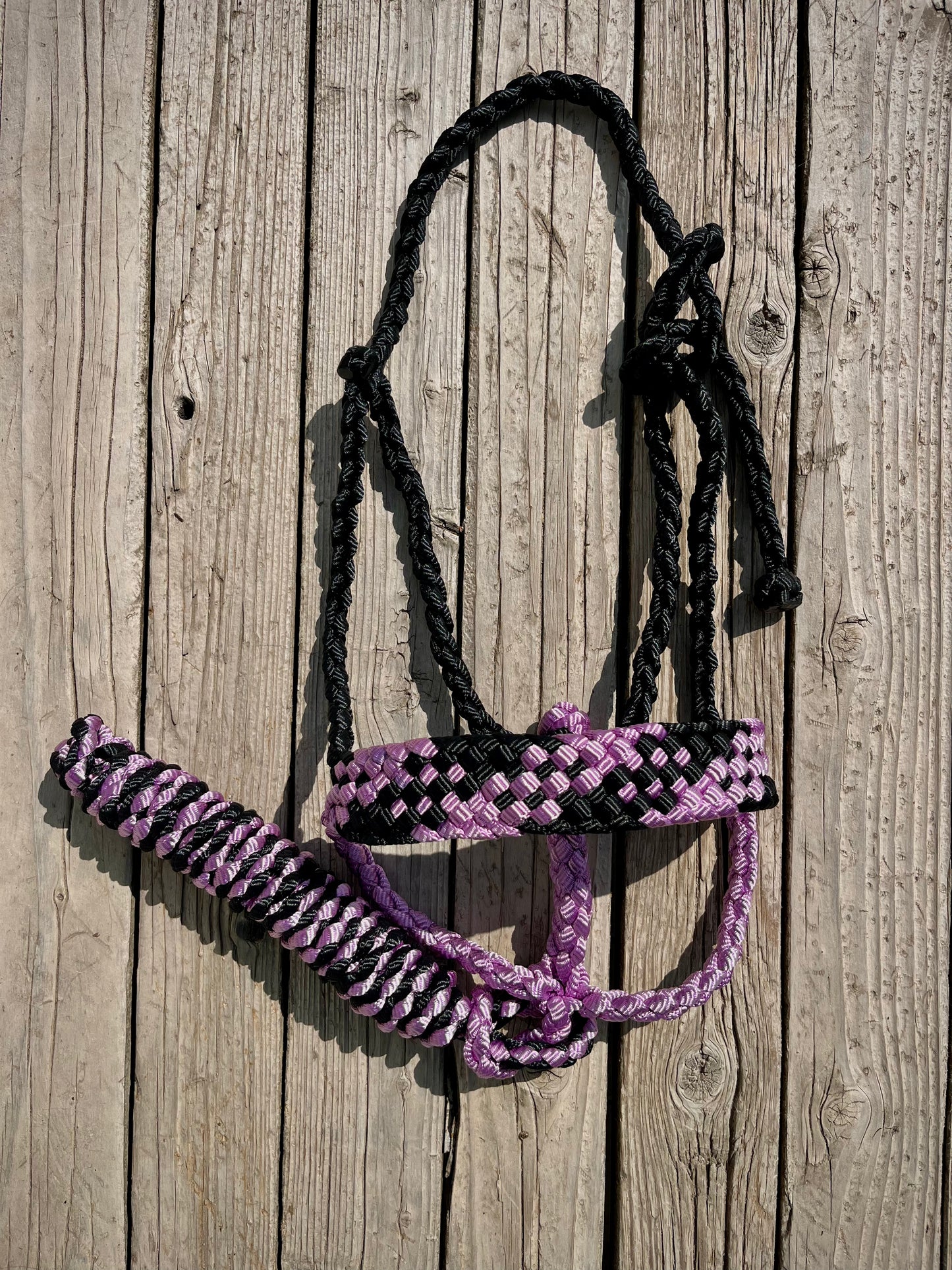 Black & Lavender Mule Tape Halter