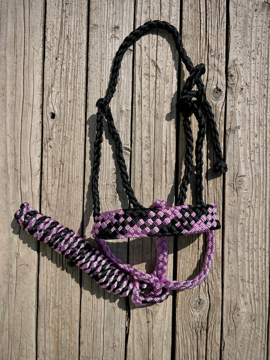 Black & Lavender Mule Tape Halter