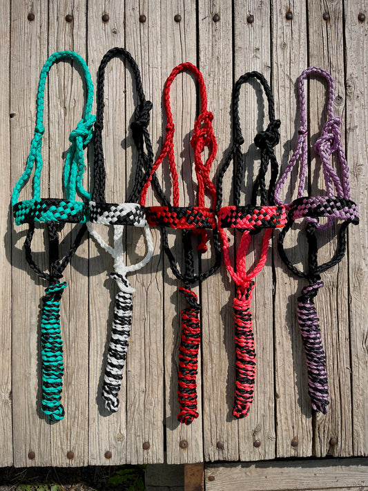 Custom Half & Half Horse Mule Tape Halter