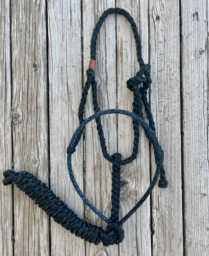 Black Mule Tape Horse Halter with Navy Lariat Nose Band
