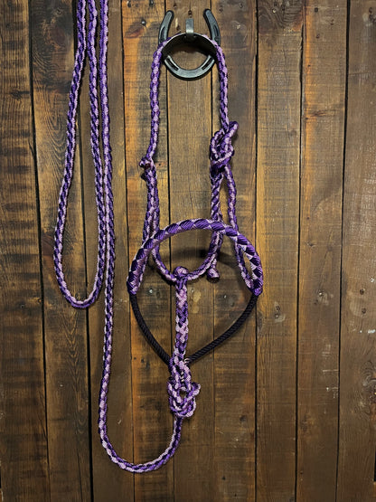 Lavender & Purple Lariat Horse Halter