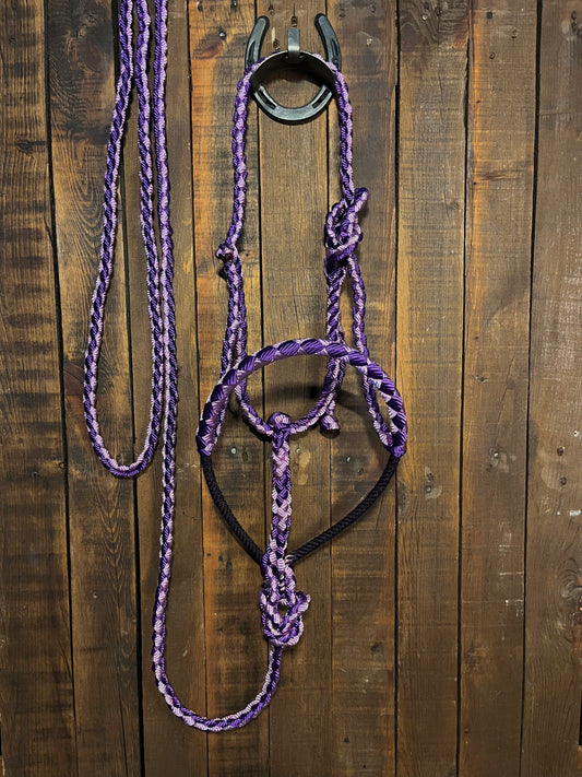 Lavender & Purple Lariat Horse Halter