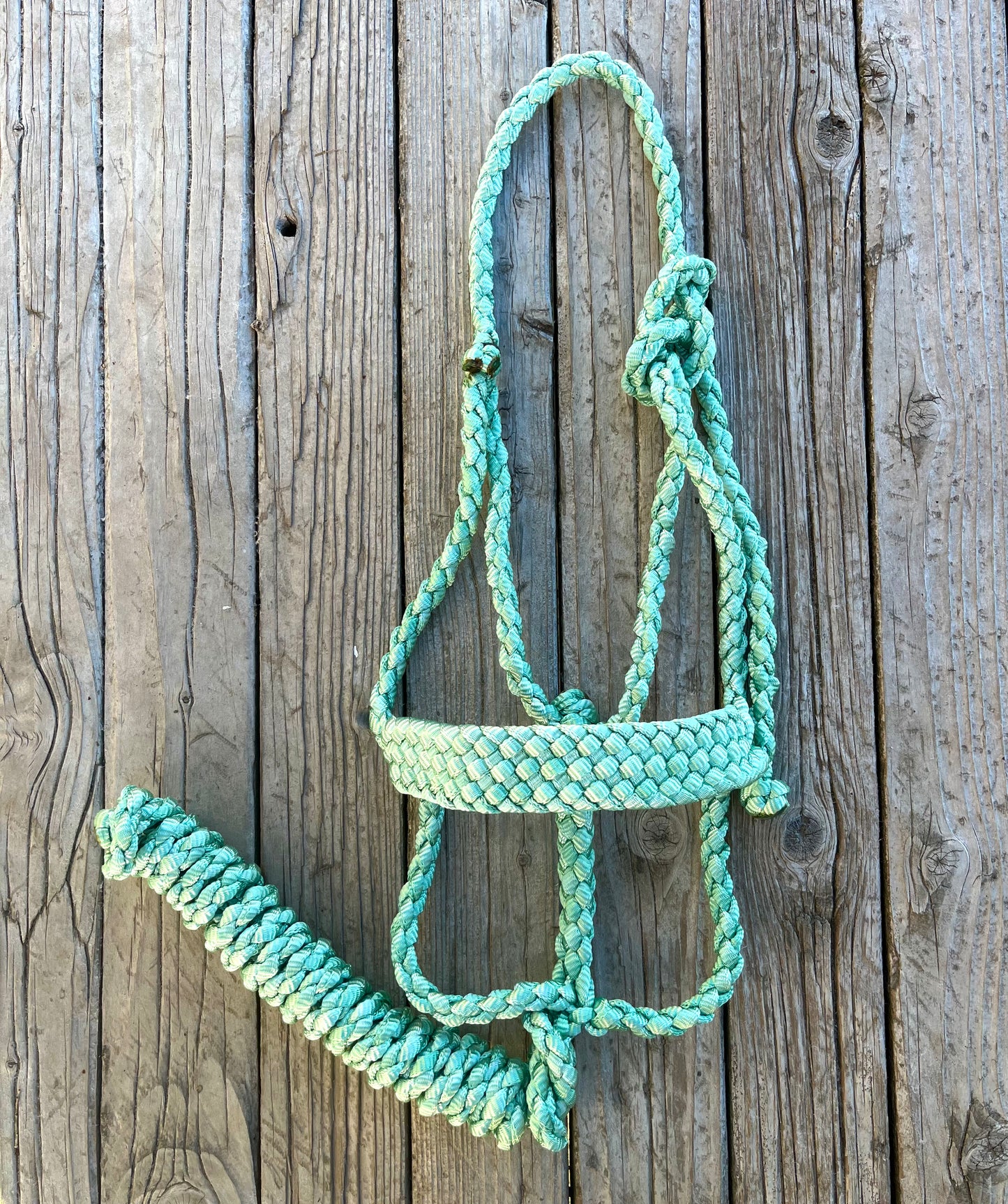 Limited Edition Pale Green Mule Tape Horse Halter