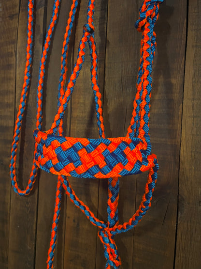 Royal Blue & Neon Orange Mule Tape Horse Halter