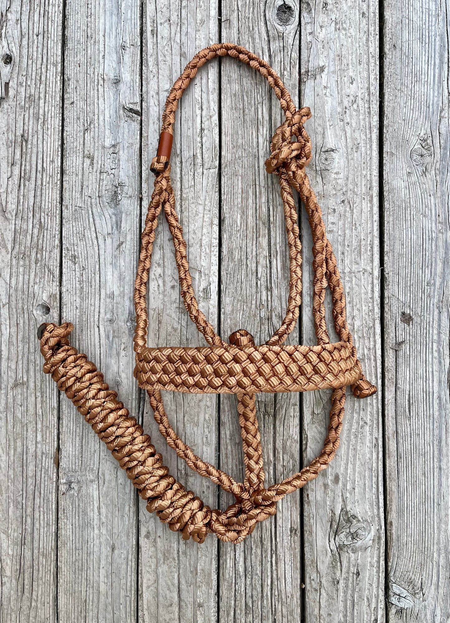 Copper Mule Tape Halter