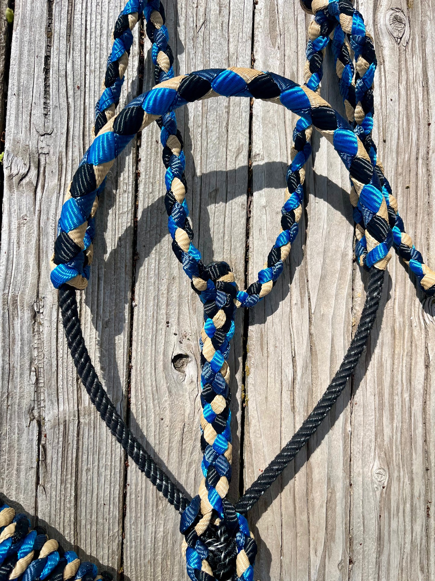 Black, Navy, Royal Blue & Beige Mule Tape Horse Halter with Lariat Nose Band