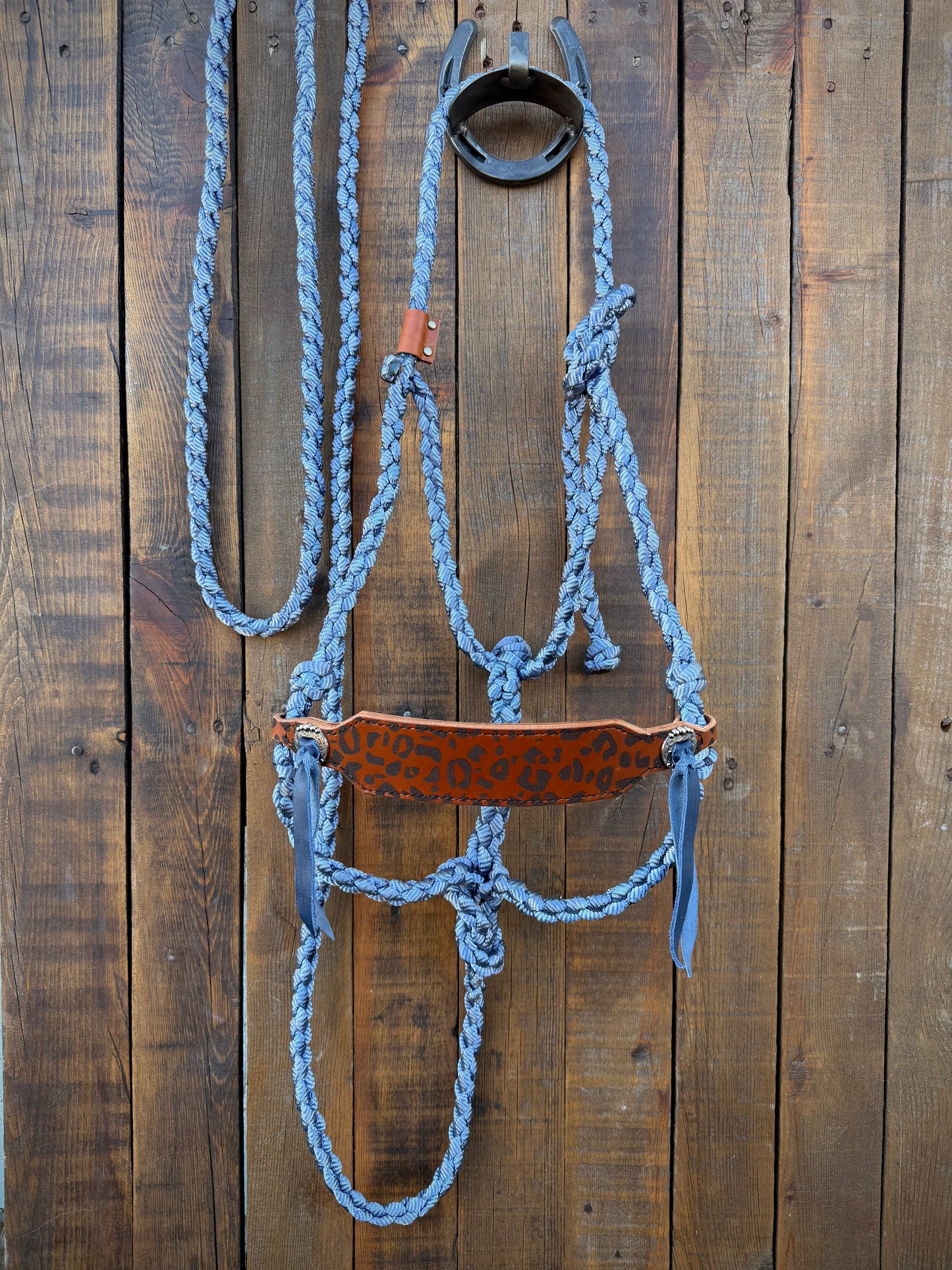 Cheetah Print Bronc Nose Band and Denim Blue Mule Tape Horse Halter