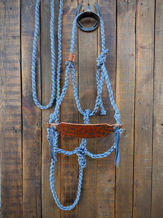 Cheetah Print Bronc Nose Band and Denim Blue Mule Tape Horse Halter