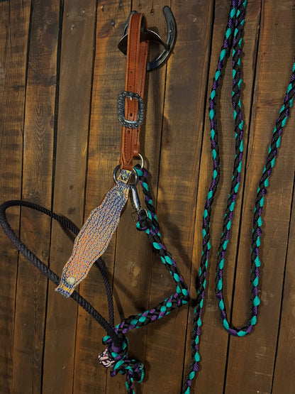 Iridescent Hybrid Horse Halter