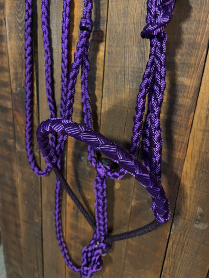 Purple Lariat Horse Halter