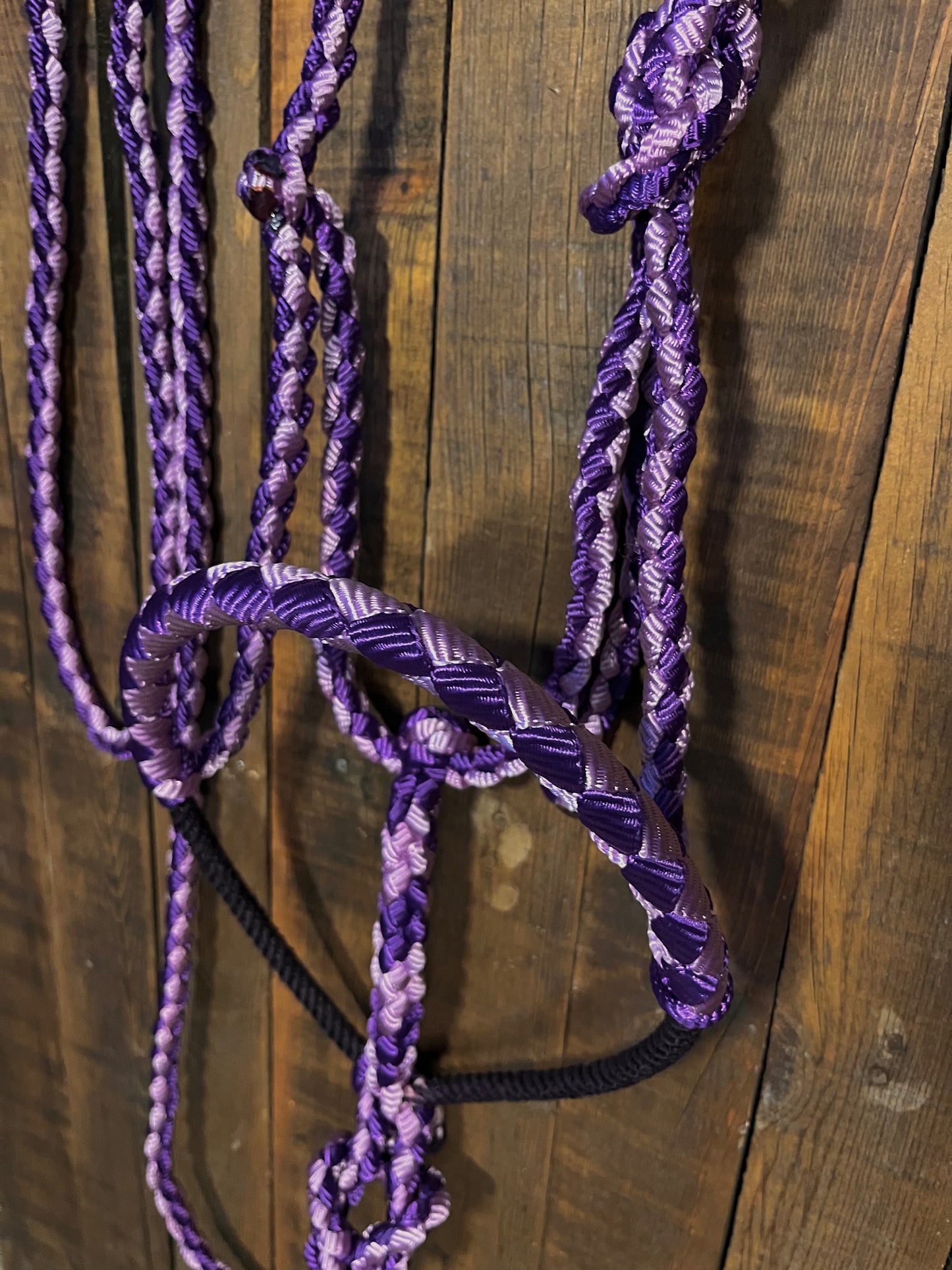 Lavender & Purple Lariat Horse Halter