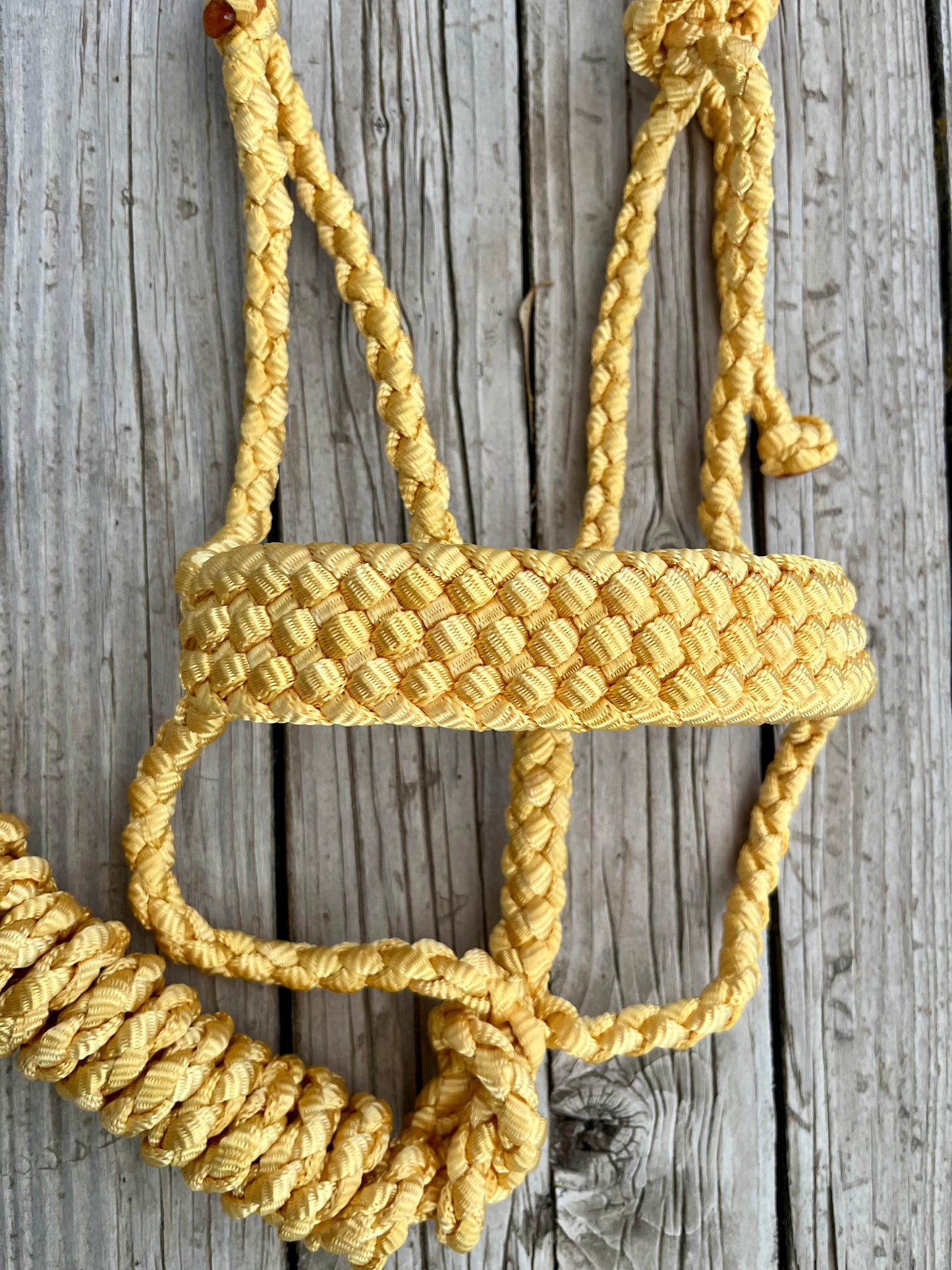 Yellow Mule Tape Halter