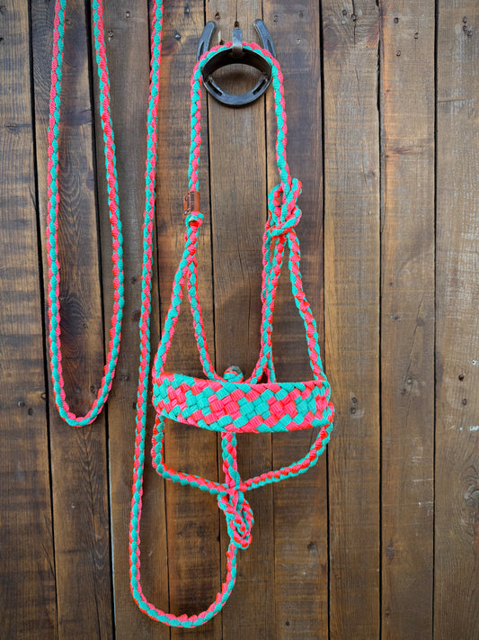 Turquoise and Neon Pink Mule Tape Horse Halter