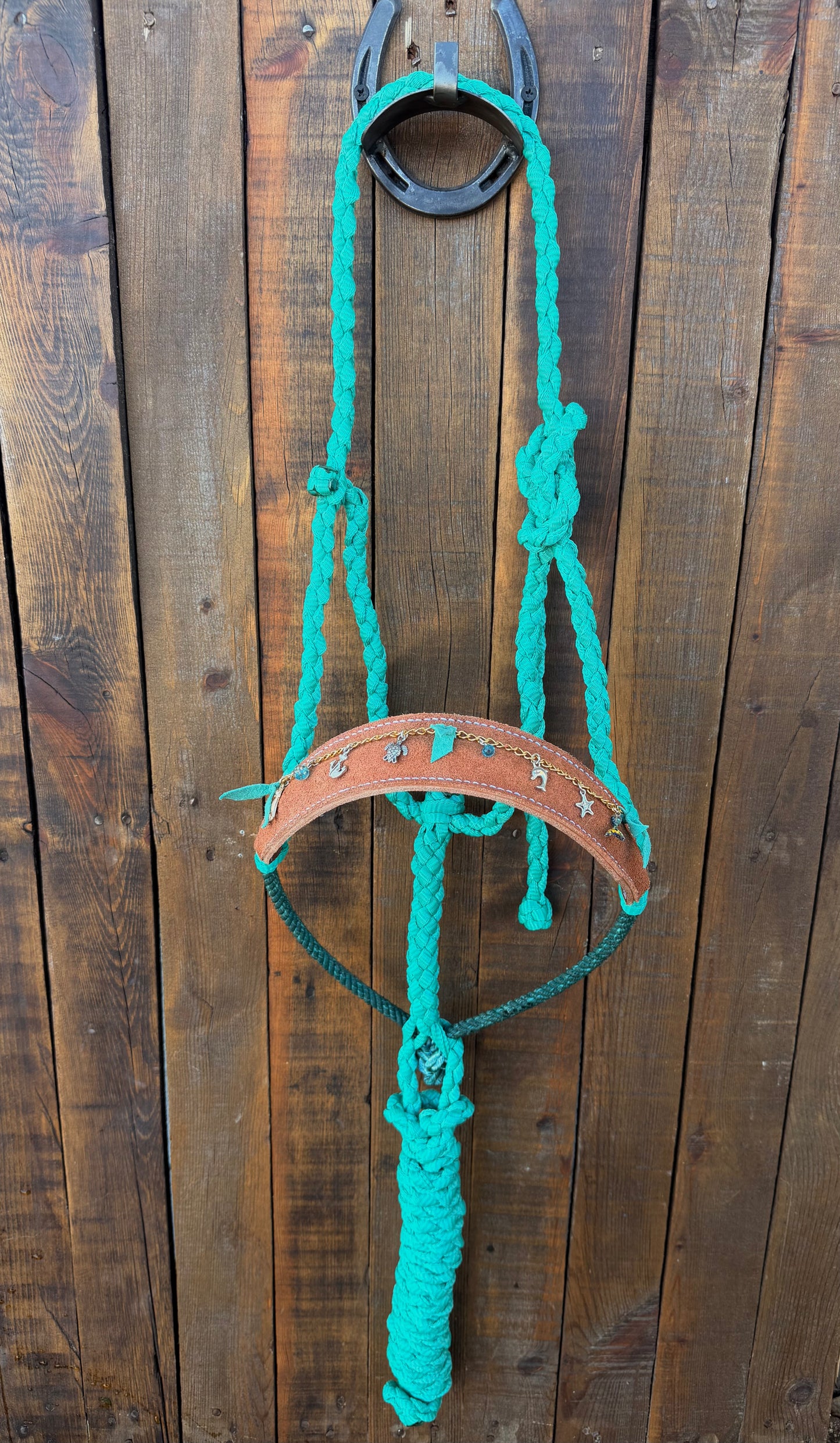 Coastal Charms Horse Halter | Mule Tape Halter with Lariat Nose Band