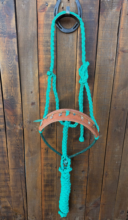 Coastal Charms Horse Halter | Mule Tape Halter with Lariat Nose Band
