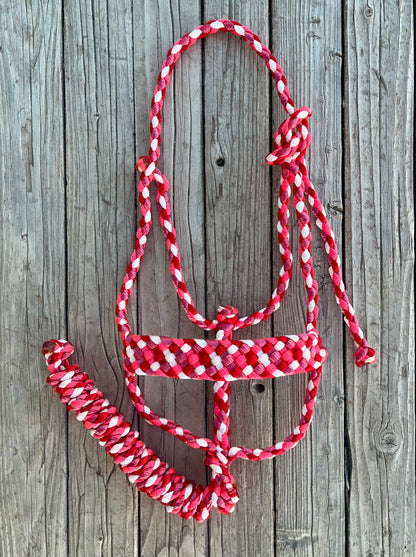 Pink, Red, Raspberry, White Mule Tape Halter