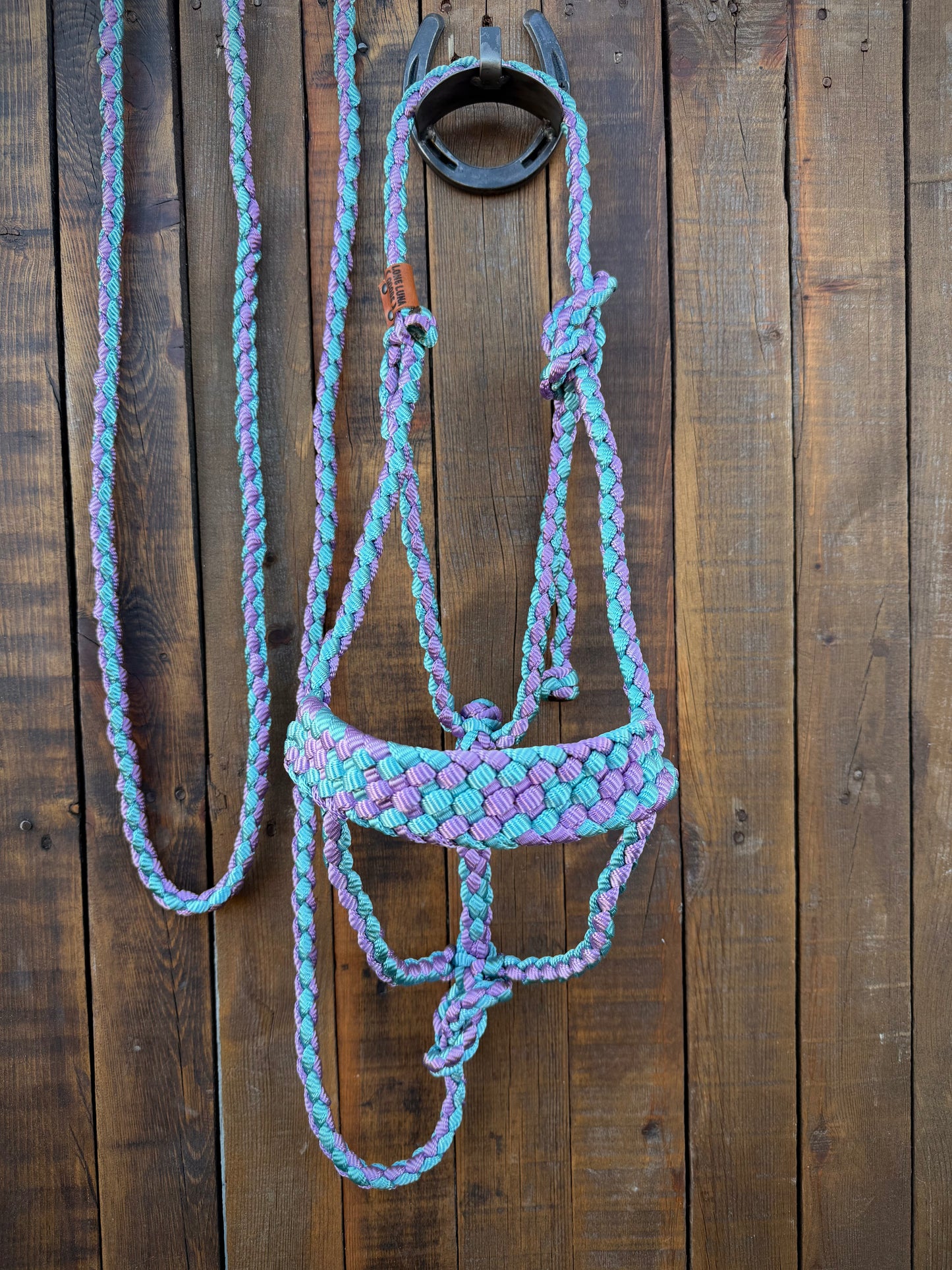 Lavender and Gift Box Blue Mule Tape Horse Halter