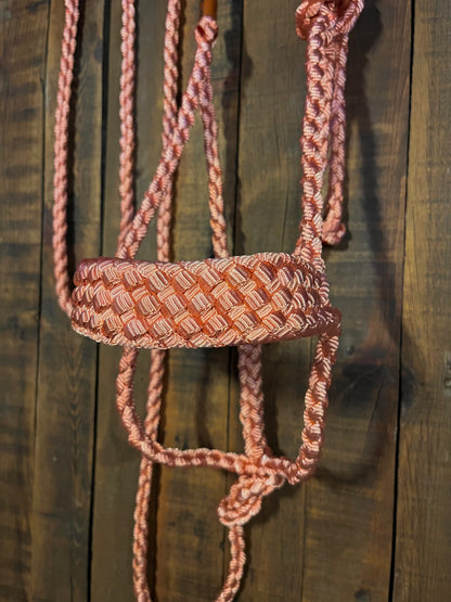 Limited Edition Coral Mule Tape Horse Halter